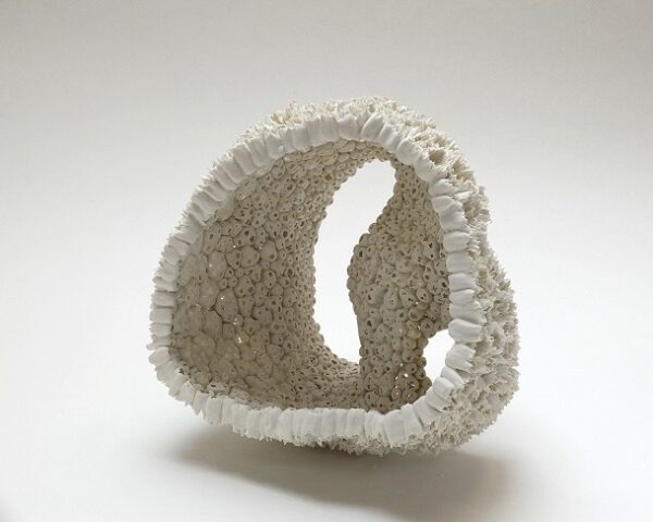 27-31 Octobre 2025 MASTERCLASS Porcelaine papier avec Thérèse Lebrun : Explorations et techniques issus de 45 ans d’expérience à transmettre (SUR LISTE D'ATTENTE)