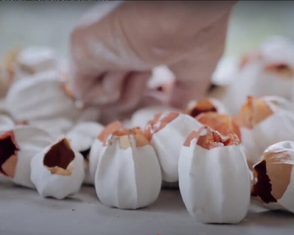 27-31 Octobre 2025 MASTERCLASS Porcelaine papier avec Thérèse Lebrun : Explorations et techniques issus de 45 ans d’expérience à transmettre (SUR LISTE D'ATTENTE)