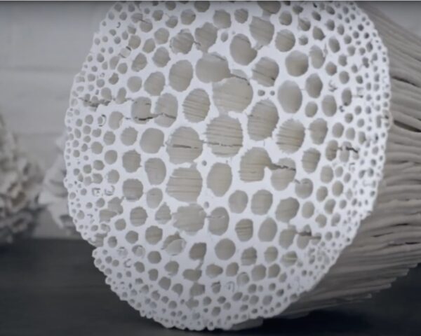 27-31 Octobre 2025 MASTERCLASS Porcelaine papier avec Thérèse Lebrun : Explorations et techniques issus de 45 ans d’expérience à transmettre (SUR LISTE D'ATTENTE)