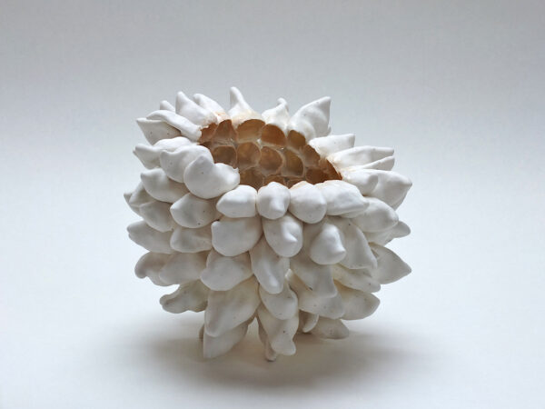 27-31 Octobre 2025 MASTERCLASS Porcelaine papier avec Thérèse Lebrun : Explorations et techniques issus de 45 ans d’expérience à transmettre (SUR LISTE D'ATTENTE)