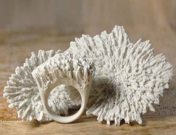 24-25 septembre 2026 MASTERCLASS Bagues en porcelaine avec LUCA TRIPALDI